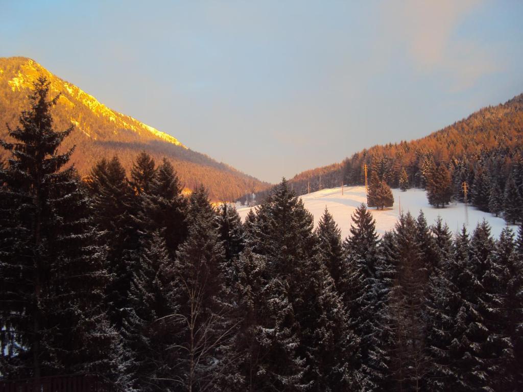 Hotel Des Alpes Castione della Presolana Quarto foto