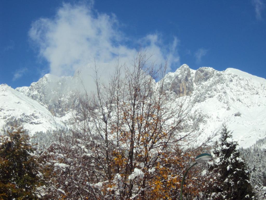 Hotel Des Alpes Castione della Presolana Quarto foto